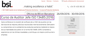 bsi-auditor_jefe-134852016